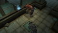Dungeon Siege: Throne of Agony thumbnail 4