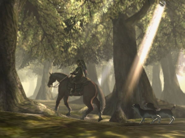 The Legend of Zelda: Twilight Princess image 10