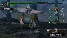 Monster Hunter Portable 2nd image 2