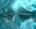 Blazing Angels: Squadrons of WWII thumbnail 4