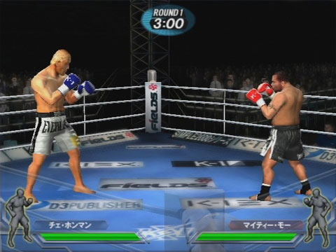 K-1 World Grand Prix 2006 image 4