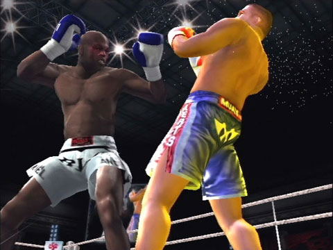 K-1 World Grand Prix 2006 image 6
