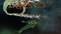 Star Trek: Legacy thumbnail 6