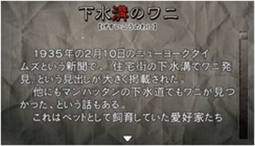 Hayarigami 3 (The Best Price) image 2