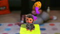 Me & My Pet thumbnail 6