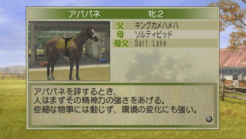 Winning Post 7 2010 image 6