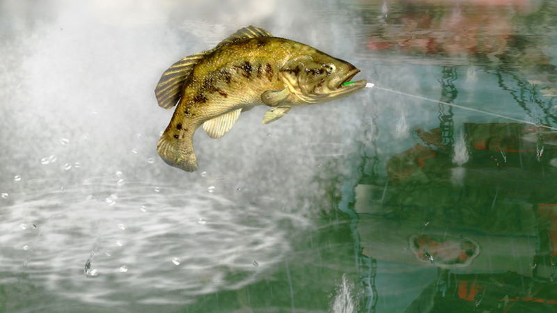 Rapala Pro Bass Fishing (Bundle) image 6