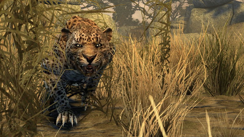 Cabela's Dangerous Hunts 11 image 4