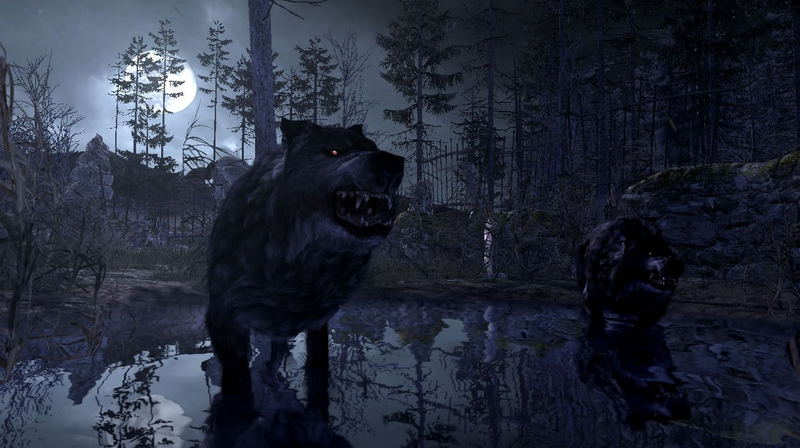 Cabela's Dangerous Hunts 11 image 6