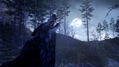 Cabela's Dangerous Hunts 11 (w/ Gun) thumbnail 4