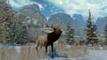 Cabela's North American Adventures thumbnail 10