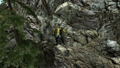 Man vs Wild thumbnail 3