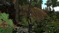 Man vs Wild thumbnail 6