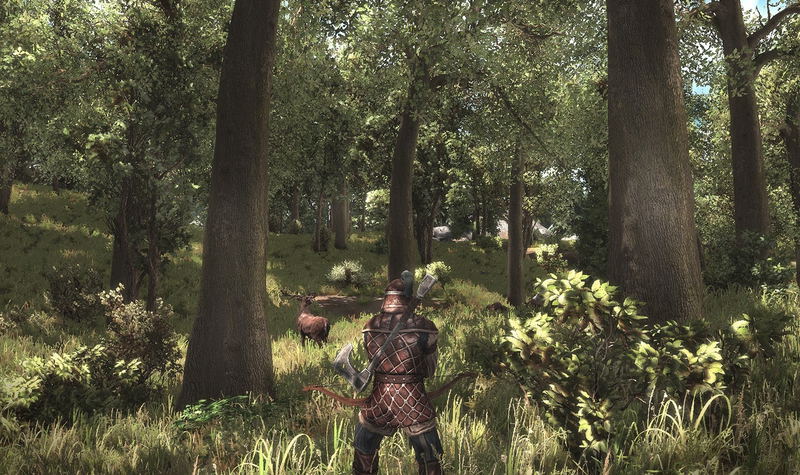 Arcania: Gothic 4 image 3