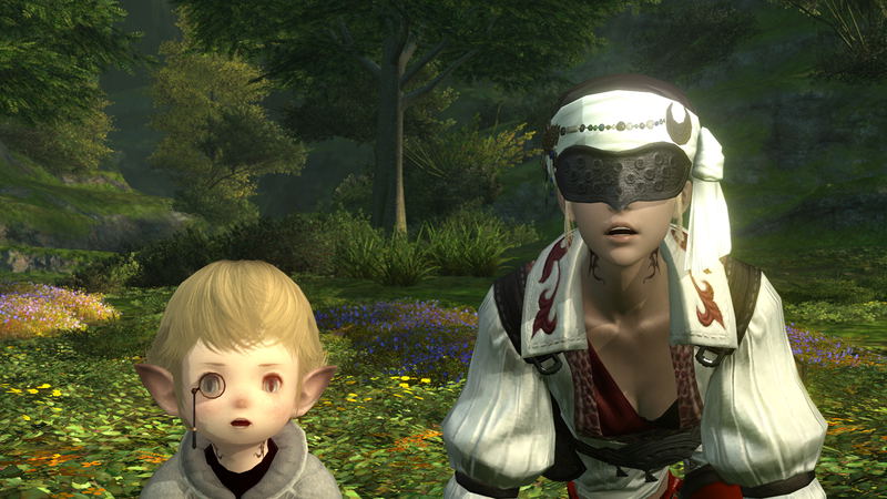 Final Fantasy XIV (Collector's Edition) (DVD-ROM) image 11