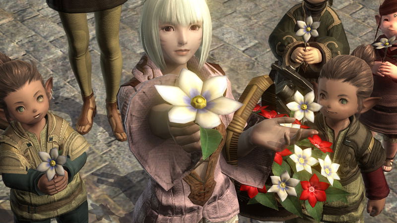 Final Fantasy XIV (Collector's Edition) (DVD-ROM) image 13