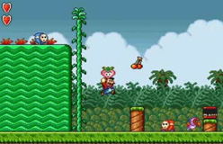 Super Mario Collection Special Pack image 5
