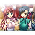 Shin Koihime Musou: Otome Ryouran * Sangokushi Engi - Shu-Hen thumbnail 4