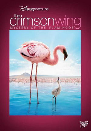 The Crimson Wing: Mystery Of The Flamingos_