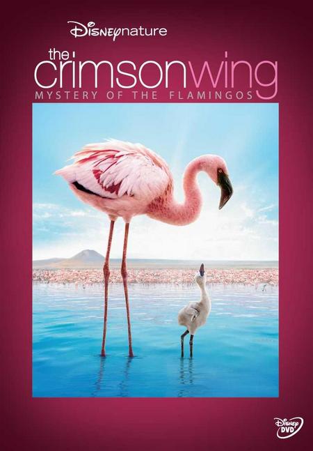 The Crimson Wing: Mystery Of The Flamingos image 1