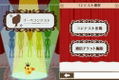 Poupee Girl DS 2: Elegant Mint Style [Limited Edition] thumbnail 6