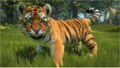 Kinect Animals [First Print Limited Edition] thumbnail 6
