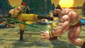 Ultra Street Fighter IV thumbnail 2