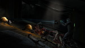 Dead Space 2 (Collector's Edition) (DVD-ROM)_