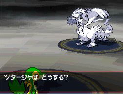 Pokemon Black image 3