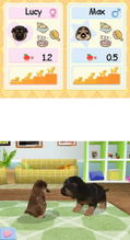 Petz Nursery 2 thumbnail 2