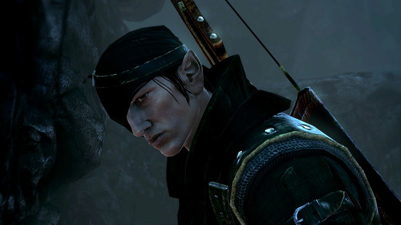 The Witcher 2: Assassins of Kings (Collector's Edition) (DVD-ROM) image 3