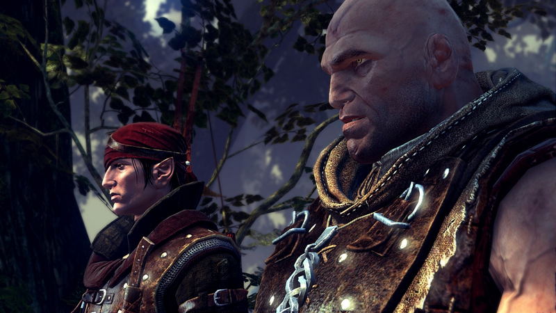 The Witcher 2: Assassins of Kings (Collector's Edition) (DVD-ROM) image 6