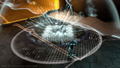 Tron: Evolution (DVD-ROM) thumbnail 10