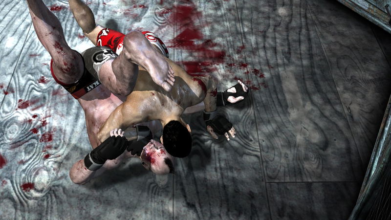 Supremacy MMA image 10