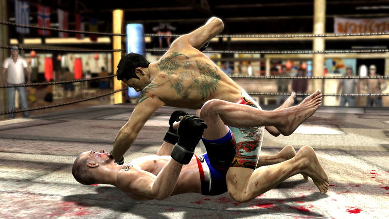 Supremacy MMA image 11