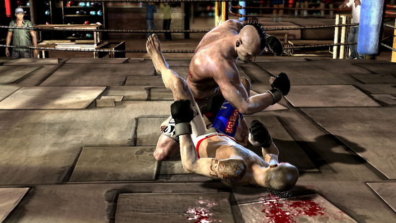 Supremacy MMA image 2