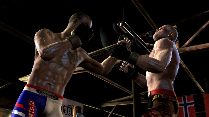 Supremacy MMA image 3