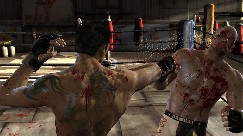 Supremacy MMA image 7