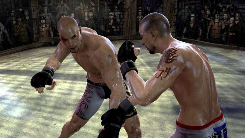 Supremacy MMA image 9