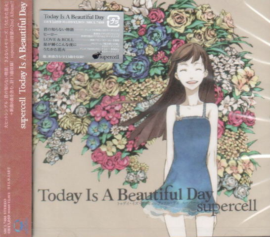 Today Is A Beautiful Day image 1