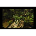 Combat of Giants: Dinosaur 3D thumbnail 4