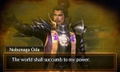 Samurai Warriors Chronicles thumbnail 5