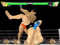 Pride GP 2003 thumbnail 2