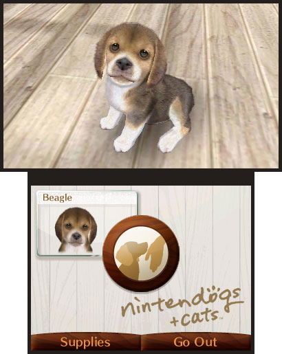 Nintendogs + Cats: Golden Retriever & New Friends image 4