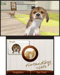 Nintendogs + Cats: Golden Retriever & New Friends thumbnail 5