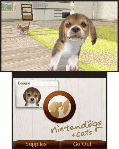 Nintendogs + Cats: Golden Retriever & New Friends image 5