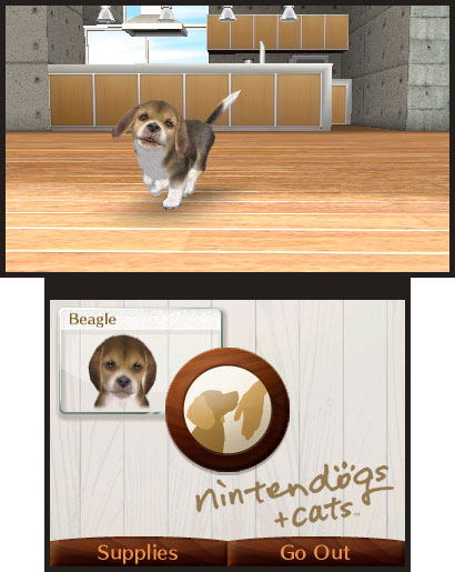 Nintendogs + Cats: Golden Retriever & New Friends image 6