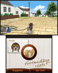 Nintendogs + Cats: Golden Retriever & New Friends thumbnail 7