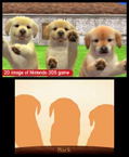 Nintendogs + Cats: Golden Retriever & New Friends thumbnail 2