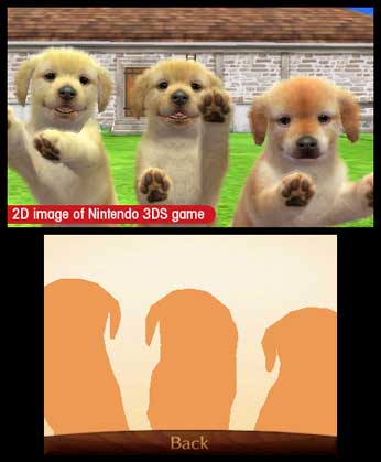 Nintendogs + Cats: Golden Retriever & New Friends image 2